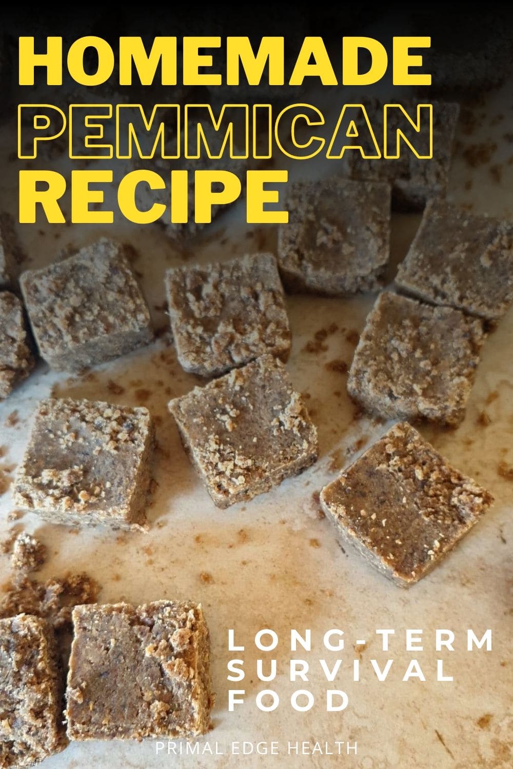 Homemade Pemmican Recipe (with Organ Meat)