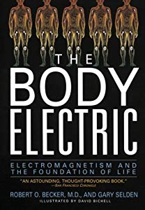 The body electric by Robert O. Becker, M.D. and Gary Selden.