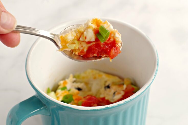 https://www.primaledgehealth.com/wp-content/uploads/2021/12/Microwave-Omelette-in-a-Mug-img-735x490.jpg