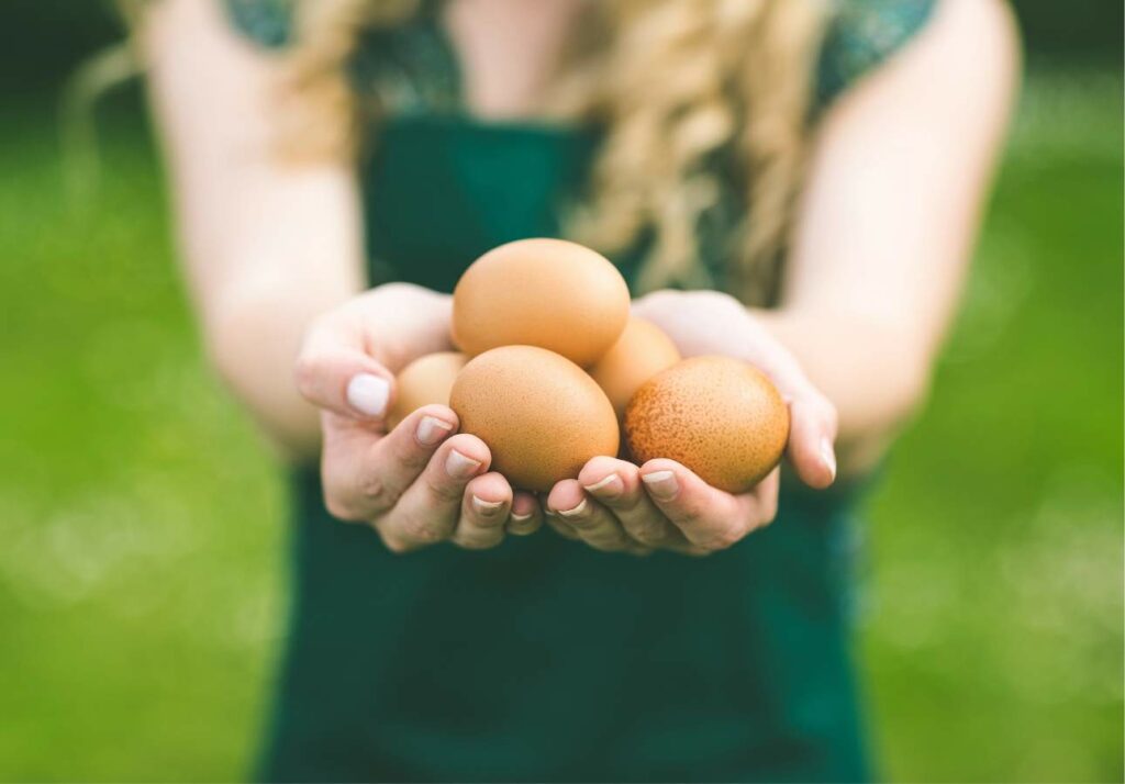 A person holds four brown eggs in their outstretched hands.