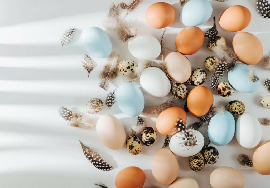 A variety of colored and quail eggs with scattered feathers on a white background.