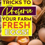 A collection of fresh eggs, including one broken, is displayed near text that reads "Tips & Tricks to Preserve Your Farm Fresh Eggs!" promoting advice from primaledgehealth.com.
