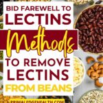 Bid farewell to lectins. Methods to remove lectins from beans.