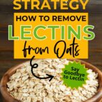 Promotional image featuring a bowl of oats with text overlay "the complete strategy to remove lectins from oats" and logo for primaledgehealth.com.