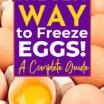 A promotional image with text overlay: "The Best Way to Freeze Eggs! A Complete Guide."