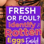 A black wire basket filled with brown eggs. The text over the image reads, "FRESH OR FOUL? Identify Rotten Eggs Easily!"