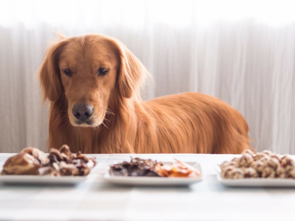 A golden retriever stands behind a table with plates of various foods, looking at them intently.