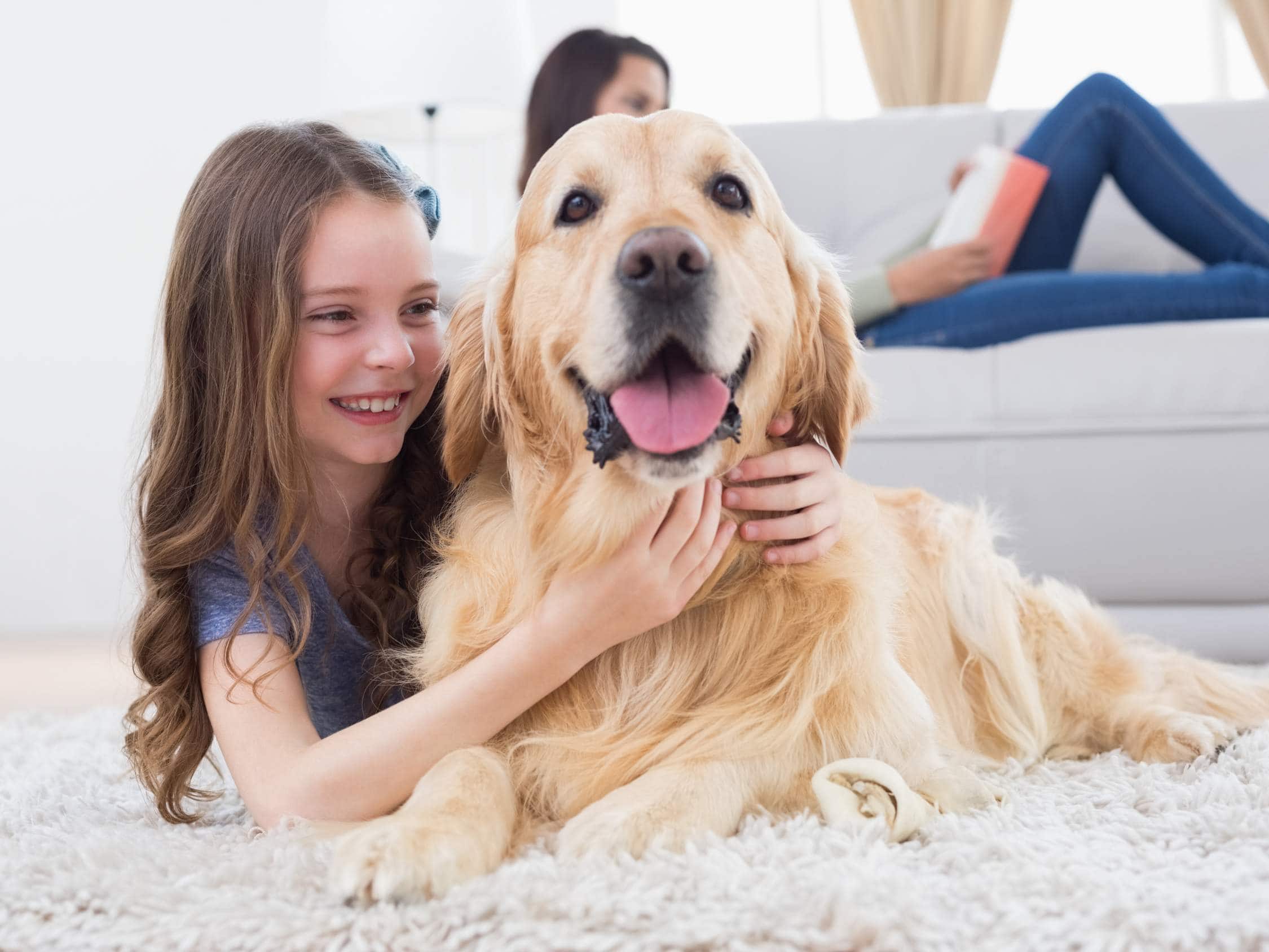 A smiling girl lies on a carpet, hugging a Golden Retriever.