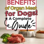 Poster with the text, "Nutritional Benefits of Organ Meat for Dogs! A Complete Guide." Below the text is a bowl with raw meat and vegetables. The website "primaledgehealth.com" is at the bottom.