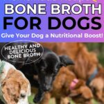 Text on the image promotes a homemade bone broth recipe for dogs, highlighting its nutritional benefits.