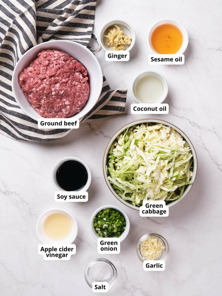 A flat lay of ingredients for cabbage stir fry.