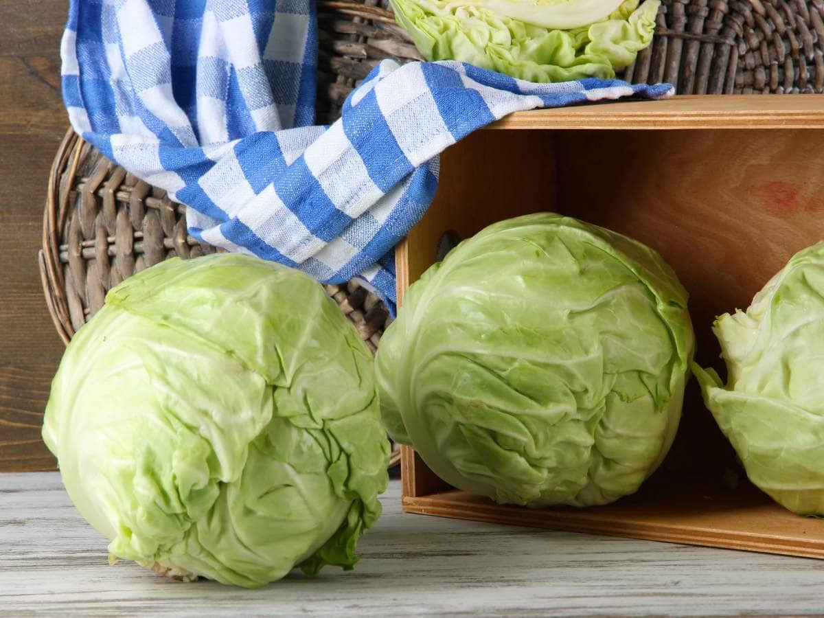 Three heads of cabbage are displayed on a wooden surface, with one placed inside a wooden crate.