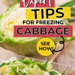 Image with text overlay: "Expert Tips for Freezing Cabbage. See How!" and a website URL, "primaledgehealth.com".