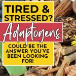 A variety of dried herbs and roots displayed with overlay text promoting adaptogens for stress relief.