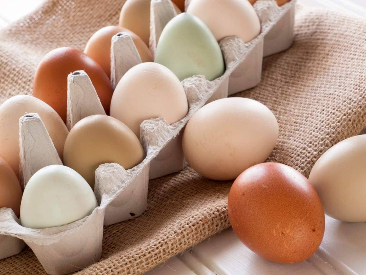 A carton of eggs in various colors, including brown, cream, and light green.