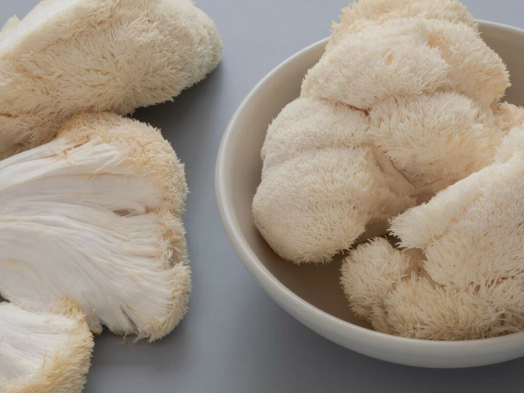 Lion's mane mushrooms on a gray surface, with some inside a bowl.