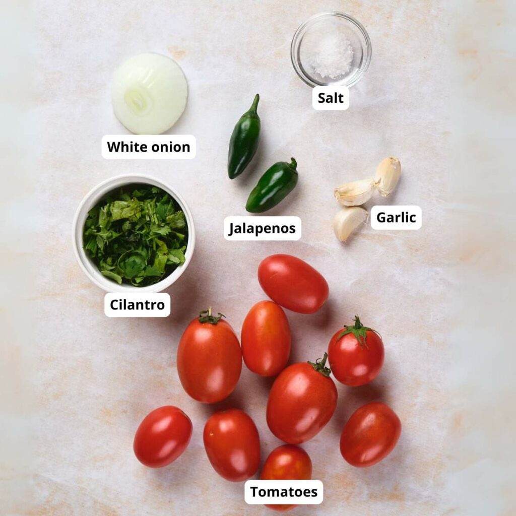 Ingredients for salsa on a surface: white onion, cilantro, jalapenos, tomatoes, garlic, and salt.